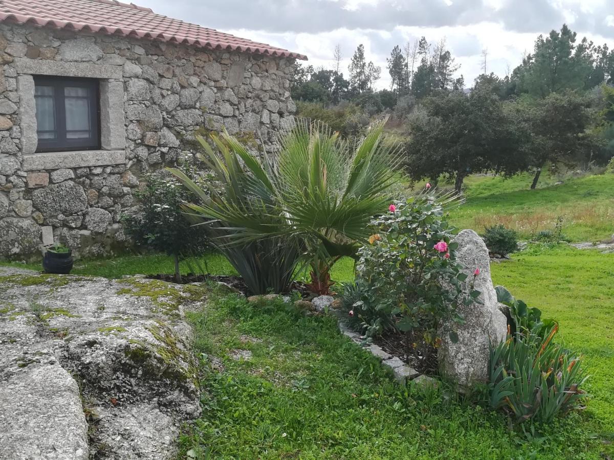 Casa de 1 Quarto